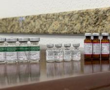 Cuidado com quem cuida: servidores da Saúde participam de ação de vacinação no Paraná