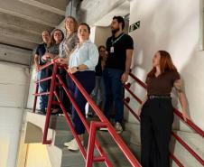 Padrão ouro em vigilância, Paraná apresenta monitoramento de síndromes gripais à União