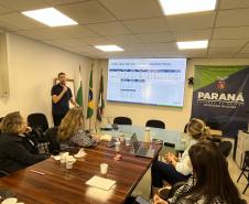 Padrão ouro em vigilância, Paraná apresenta monitoramento de síndromes gripais à União