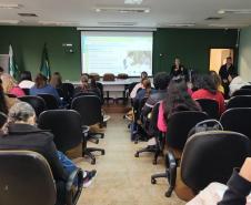 Sesa descentraliza formação em auriculoterapia e fortalece práticas integrativas nos municípios