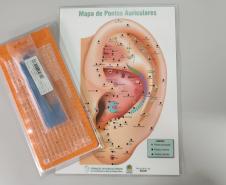 Sesa descentraliza formação em auriculoterapia e fortalece práticas integrativas nos municípios