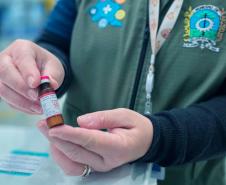 Campanhas na fronteira e aeroportos aplicam quase 3,5 mil doses de vacinas no Paraná