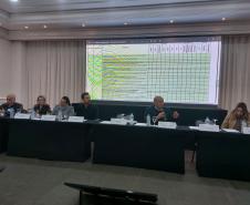 Reunião do CIB discute plano de contingência e processos para melhoria da saúde no Paraná