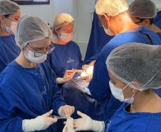 Hospital Infantil realiza cirurgia pioneira de alta complexidade para correção de deformidade craniana