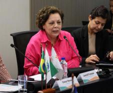 Paraná apresenta ao Conass avanços do PlanificaSUS em saúde mental na Atenção Primária