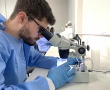 Vigilância Ambiental da Sesa muda parâmetros no combate a dengue e outras doenças com tecnologia e estratégia