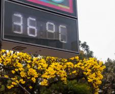 Como o El Niño e a amplitude térmica impactam a saúde da população