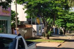 Paraná soma 2 óbitos e 741 casos de dengue em dois meses de monitoramento