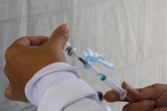 Seis meses após iniciar a vacinação, Paraná chega a 6,9 milhões de doses aplicadas