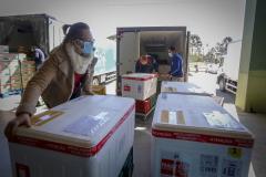 Saúde inicia distribuição de doses para aplicação no público geral; veja a distribuição por Regional