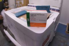 Paraná recebe 57,6 mil doses de CoronaVac