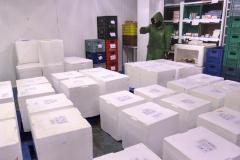  Paraná recebe 278 mil vacinas contra a Covid-19 para adolescentes, segunda dose e municípios de fronteira 