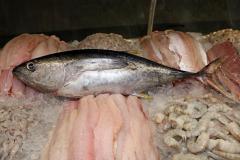 Vigilância Sanitária alerta sobre cuidados na compra de pescados para a Semana Santa.