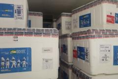 Sesa recebe mais 640 mil imunizantes para dose de reforço da população  