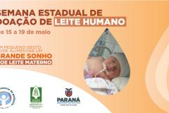 Na semana estadual de doação de leite humano, Saúde busca ampliar número de doadoras