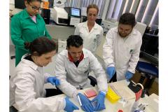 Estudo aponta que chikungunya em circulação no Paraná tem origem outras regiões do Brasil