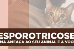 Paraná é o primeiro Estado a oferecer medicamento para tratar animais com esporotricose