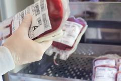 Paraná envia bolsas de sangue e plaquetas para o Rio Grande do Sul