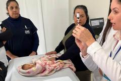 Paraná tem a terceira menor taxa de mortalidade infantil do Brasil