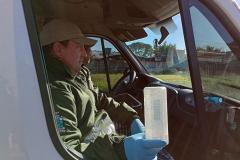 Combate à dengue: Londrina e Foz do Iguaçu vão soltar 4 milhões de Wolbitos na semana