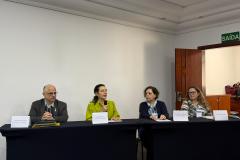 Paraná apresenta ações de enfrentamento das SRAGs para organizações nacionais e internacionais