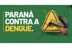 Paraná tem redução de casos e mortes por dengue maior do que a média nacional em 2025