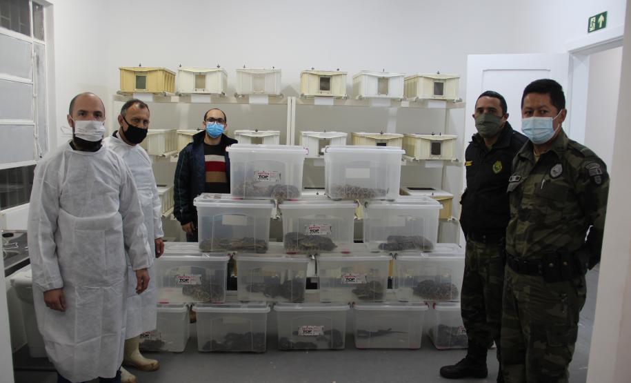 Sesa vai reativar a produção de soro contra picadas de cobras