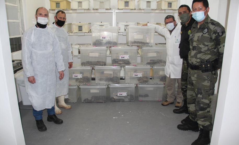 Sesa vai reativar a produção de soro contra picadas de cobras