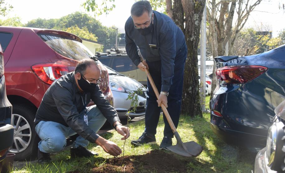 Secretário participa da campanha “Floresce Paraná” em alusão ao Dia do Voluntariado