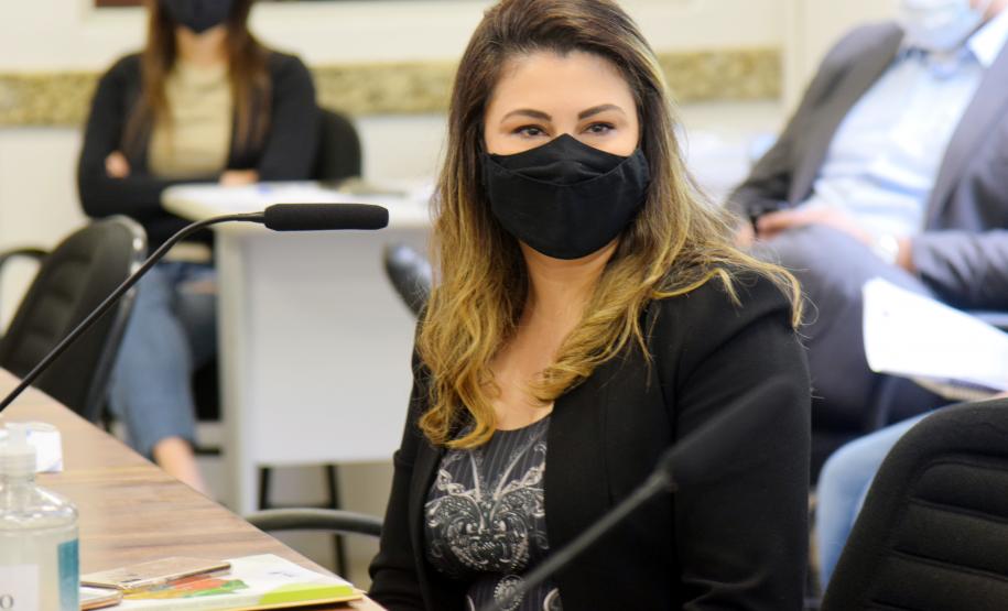 Secretário destaca trabalho pela regionalização no Plano Estadual de Saúde durante reunião do CES