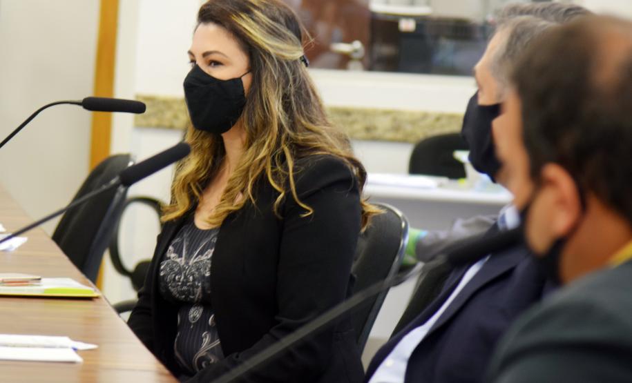 Secretário destaca trabalho pela regionalização no Plano Estadual de Saúde durante reunião do CES