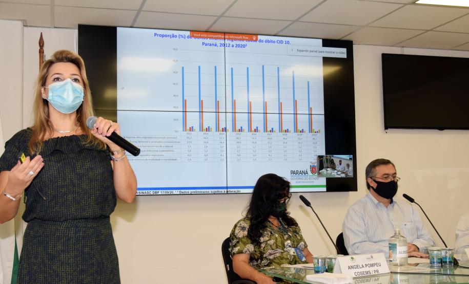 Enfrentamento à Covid-19, combate à dengue e ações para ampliação da cobertura vacinal foram temas da CIB