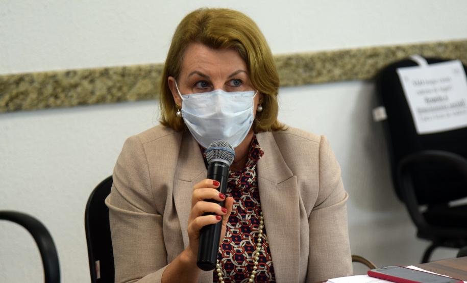 Enfrentamento à Covid-19, combate à dengue e ações para ampliação da cobertura vacinal foram temas da CIB