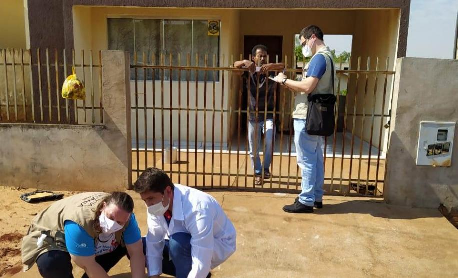 Bloqueio vacinal contra raiva é realizado no Noroeste do Paraná