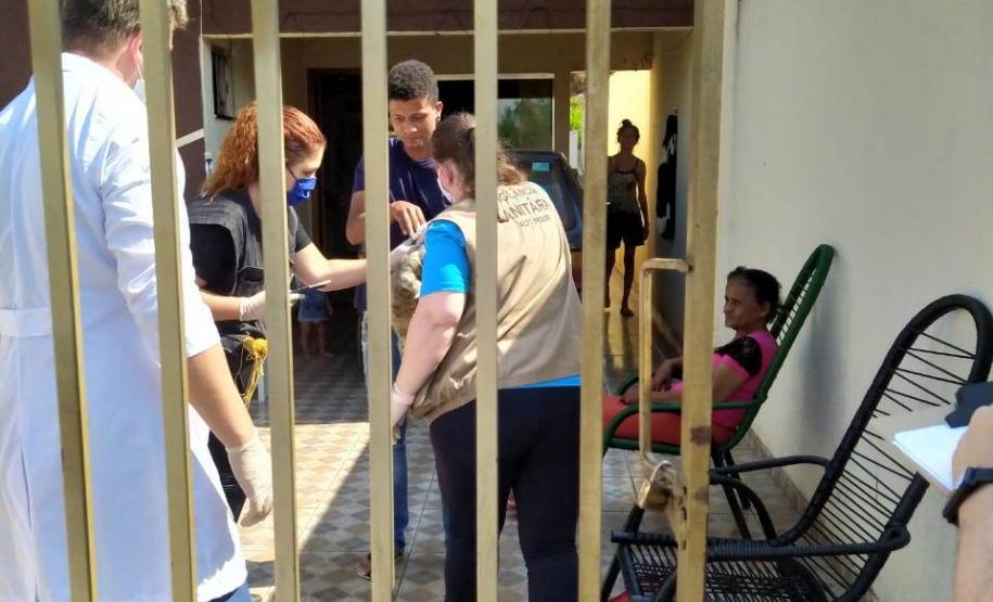 Bloqueio vacinal contra raiva é realizado no Noroeste do Paraná