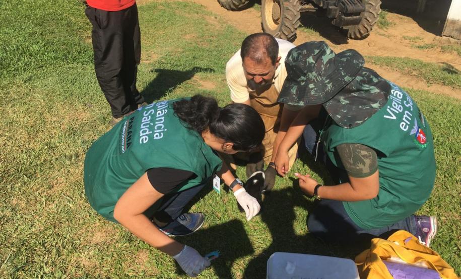 Bloqueio vacinal contra raiva é realizado no Noroeste do Paraná