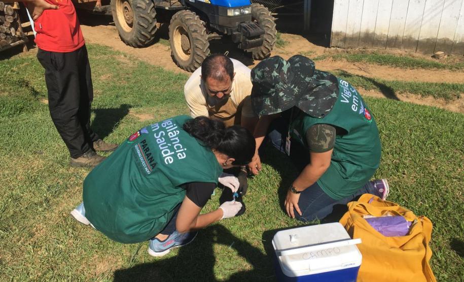Bloqueio vacinal contra raiva é realizado no Noroeste do Paraná