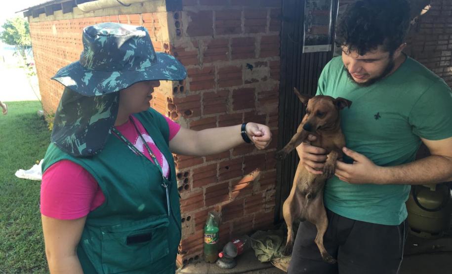 Bloqueio vacinal contra raiva é realizado no Noroeste do Paraná
