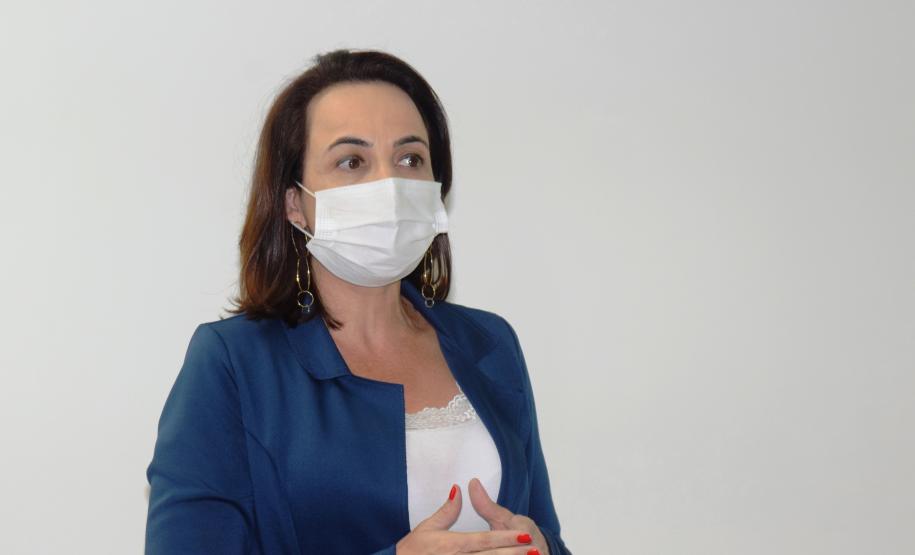 Paraná apresenta Plano Estadual de Enfrentamento à Dengue ao Ministério da Saúde