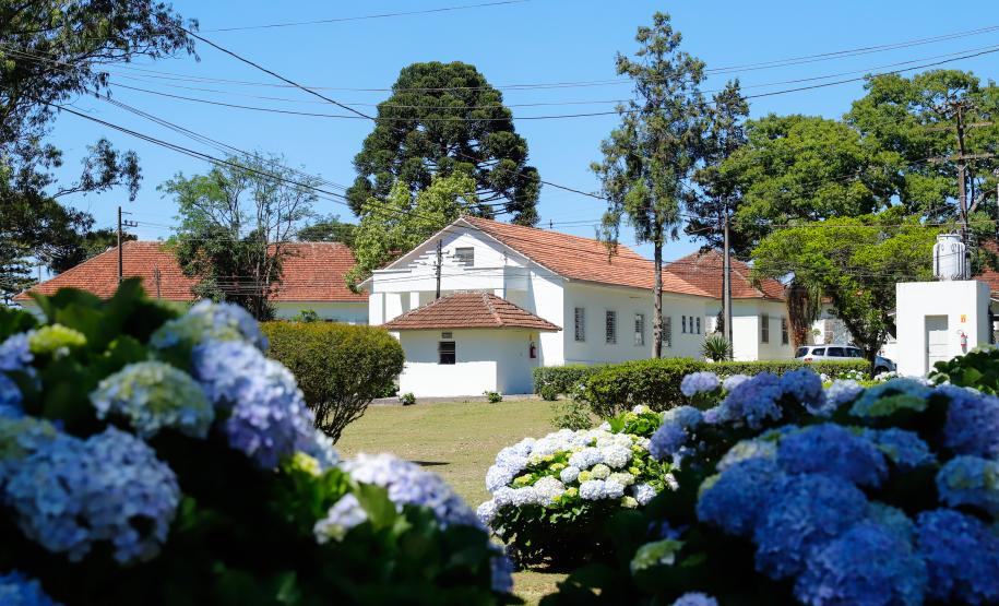 Governador e secretário da Saúde visitam Hospital de Dermatologia Sanitária do Paraná