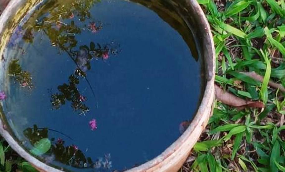 Sesa confirma 425 novos casos de dengue no Paraná