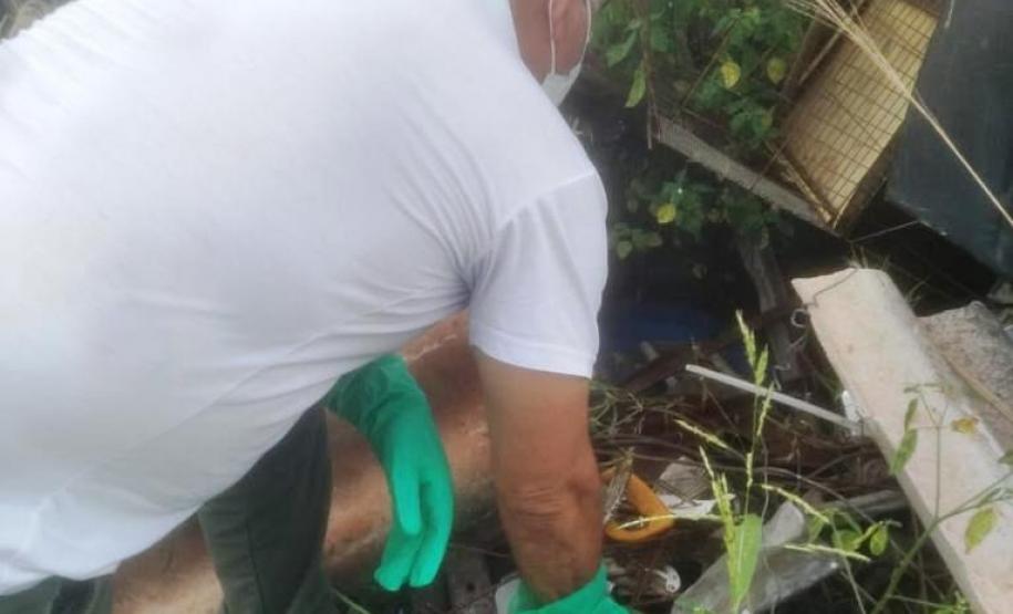 Sesa confirma 425 novos casos de dengue no Paraná
