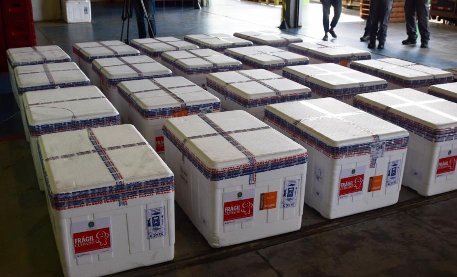 Paraná recebeu neste sábado mais 240,4 mil doses da vacina contra a Covid-19