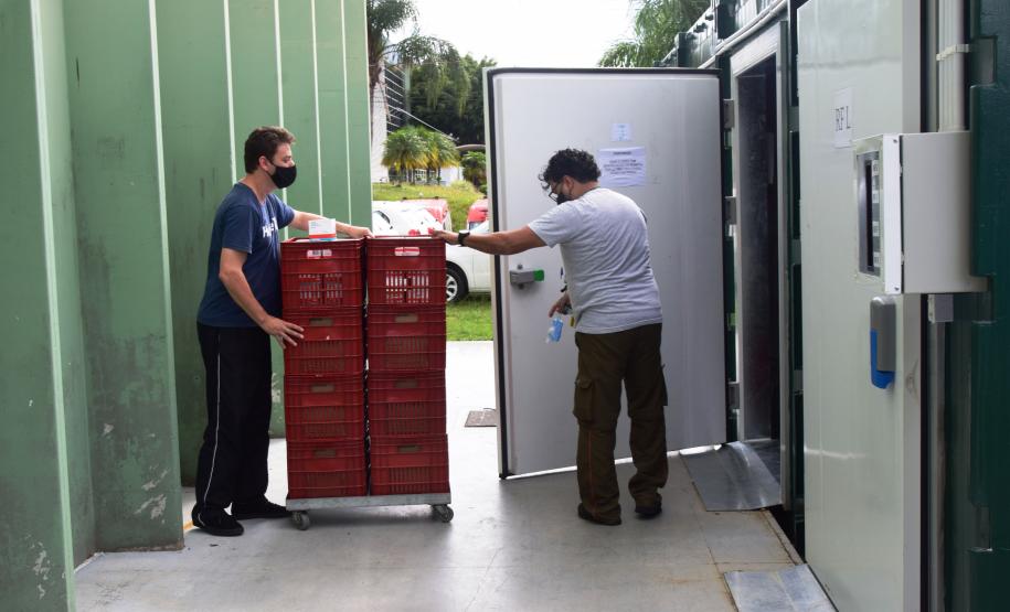 Paraná recebeu neste sábado mais 240,4 mil doses da vacina contra a Covid-19