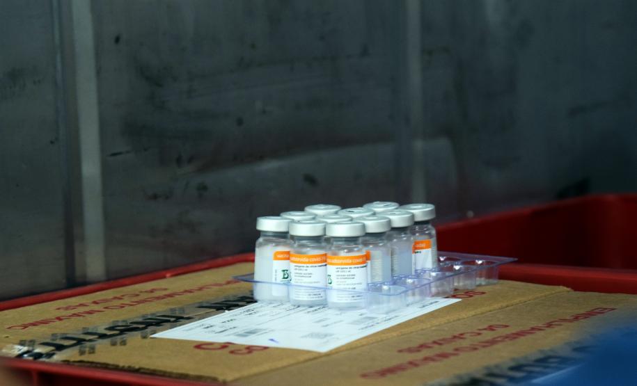 Paraná recebeu neste sábado mais 240,4 mil doses da vacina contra a Covid-19