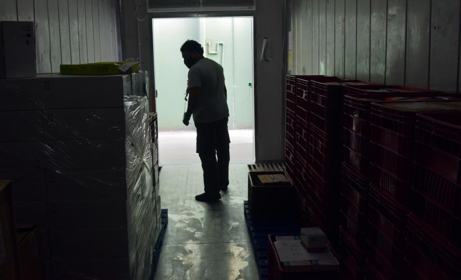 Paraná recebeu neste sábado mais 240,4 mil doses da vacina contra a Covid-19