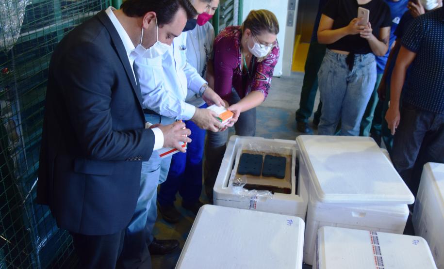 A ideia é incentivar ainda mais a imunização, valorizar a sua importância na luta contra a pandemia, e acelerar a aplicação em cidades que têm mais dificuldades de operacionalizar o Plano Estadual de Vacinação contra a Covid-19.