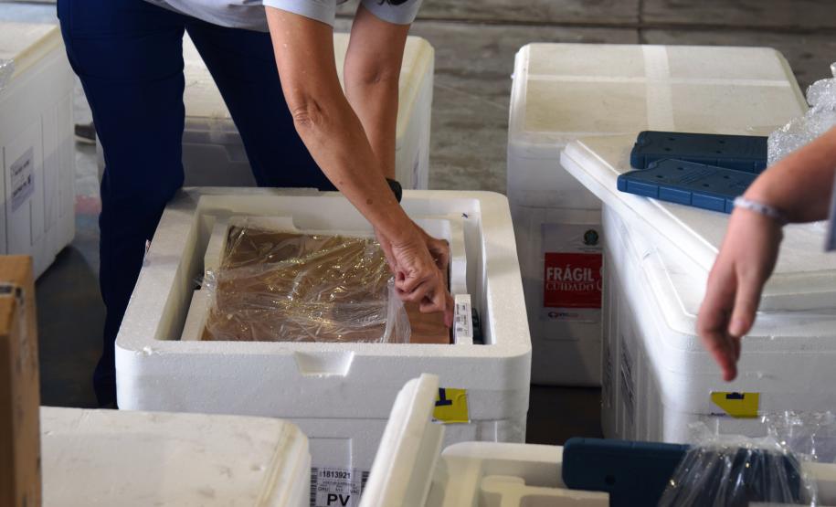 Estado começa a distribuir novo lote de vacinas por Cascavel