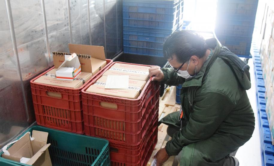 Estado começa a distribuir novo lote de vacinas por Cascavel