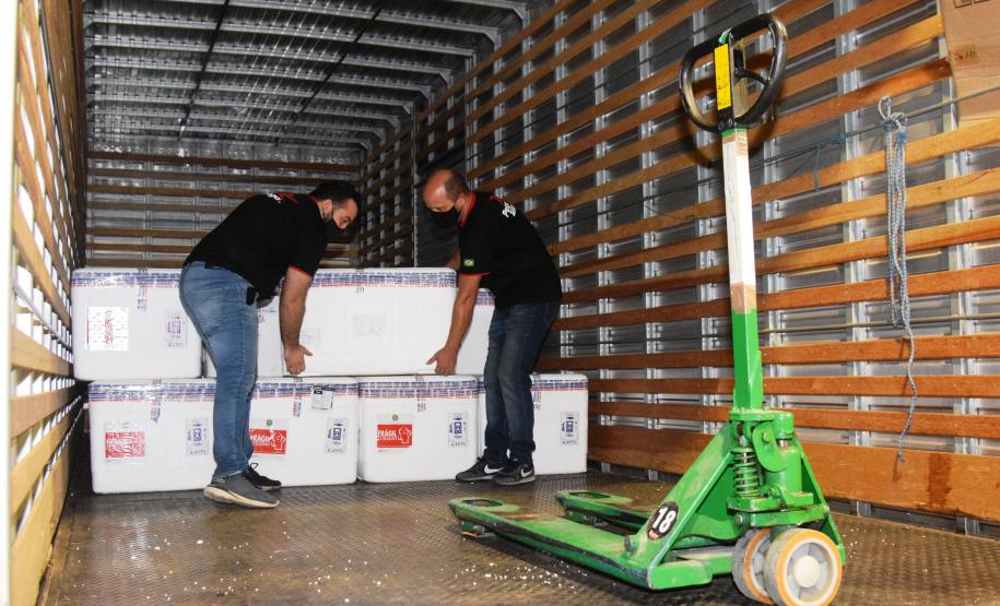 Paraná distribui mais 129,2 mil doses para vacinação de idosos com mais de 75 anos